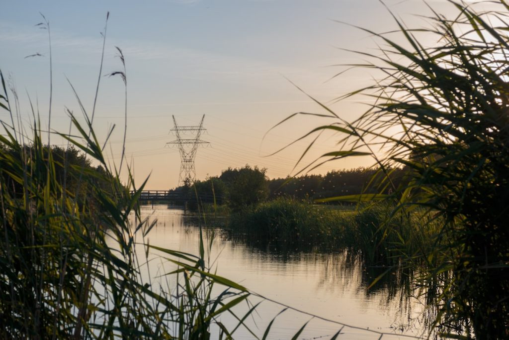 Poldersloot met riet bij zonsondergang in de Zuidplaspolder bij Nieuwerkerk aan den IJssel
